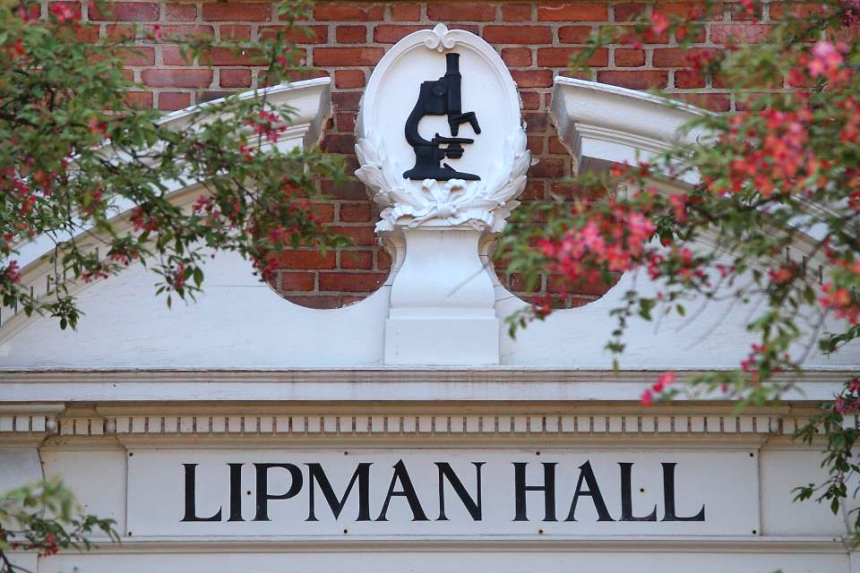 Front door Lipman Hall.