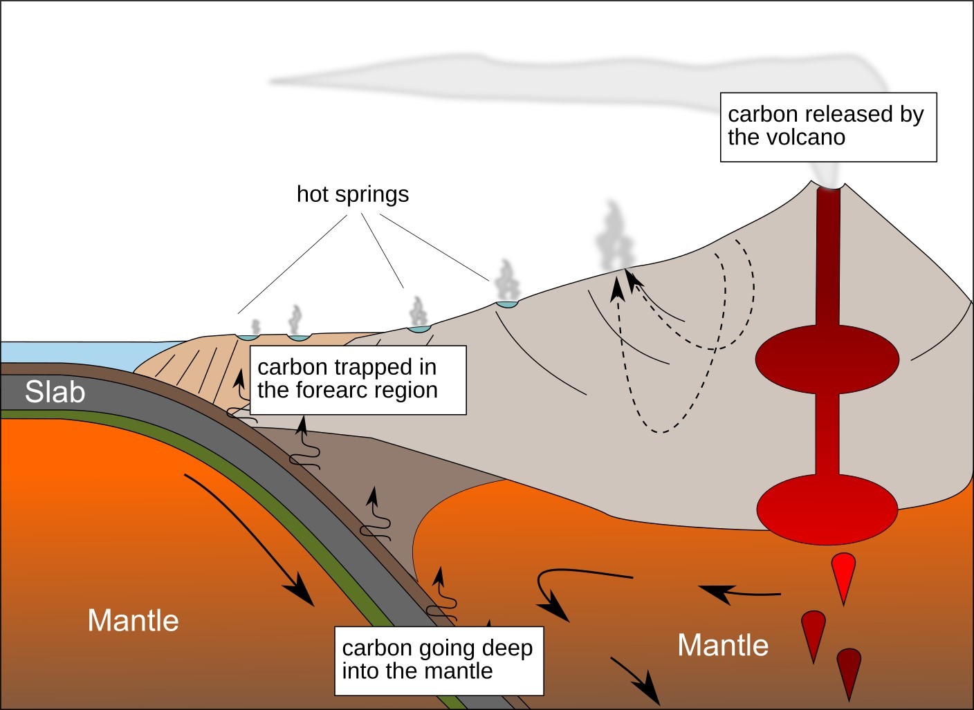 Carbon model.