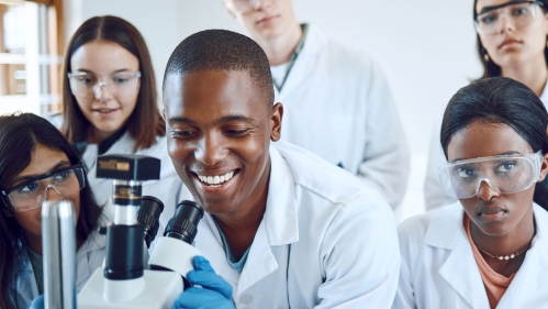 Students using a microscope