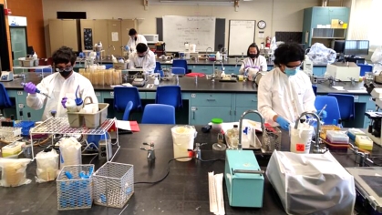 Students conducting experiments in lab