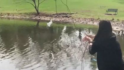 Sampling water in Passion Puddle