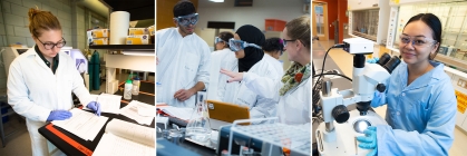 Students working in a laboratory