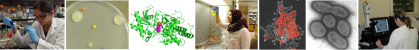 Biochemistry and Microbiology collage