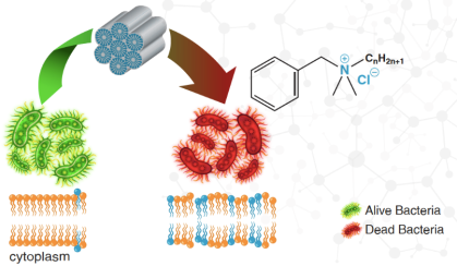 schematic illustration
