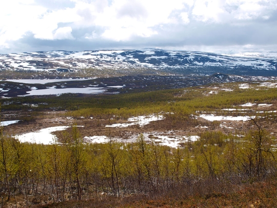 Kilpisjarvi early summer