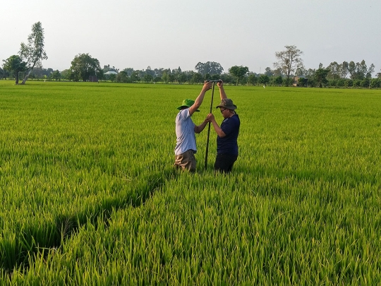 Soil sampling