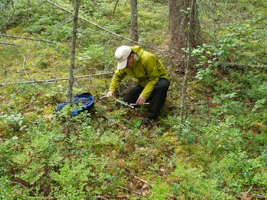 Soil sampling