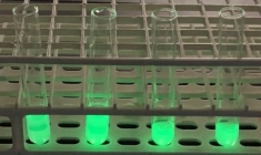 Purified GFP