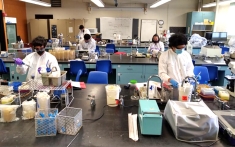 Students conducting experiments in lab